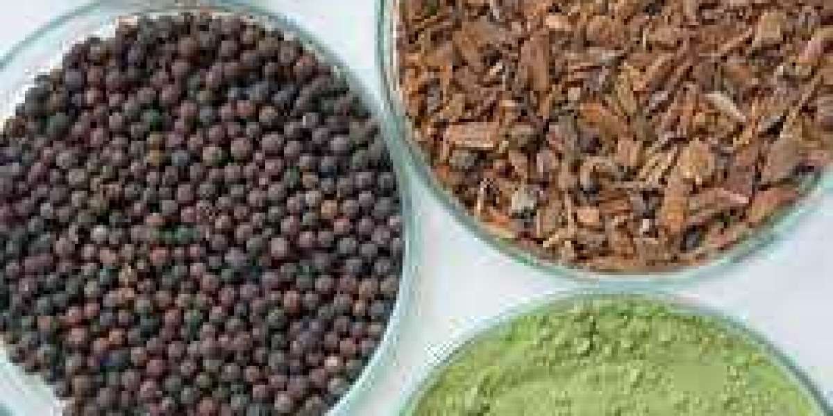 Phytogenic Feed Additives for Swine Market Overview 2022 to 2029, Future Trends and Forecast