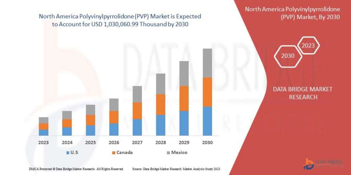 Competitive Landscape of the North American Polyvinylpyrrolidone (PVP) Market