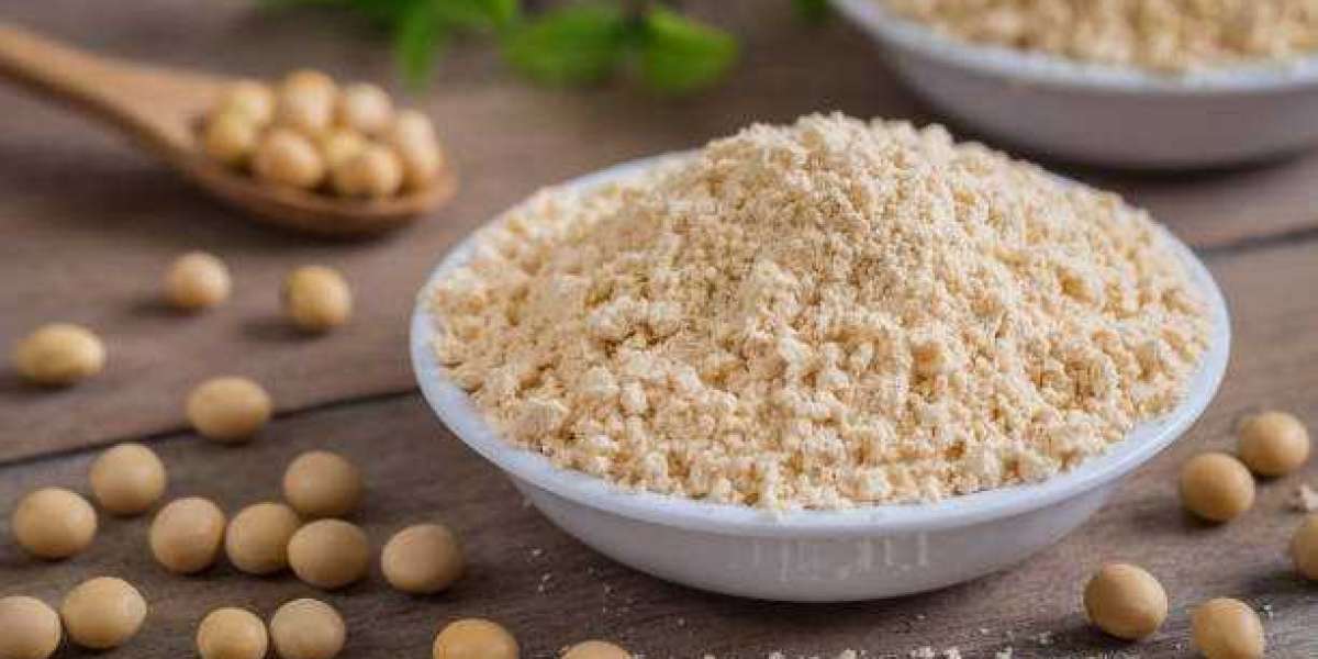 Soy Protein Market Outlook, Revenue Share Analysis, Market Growth Forecast 2030