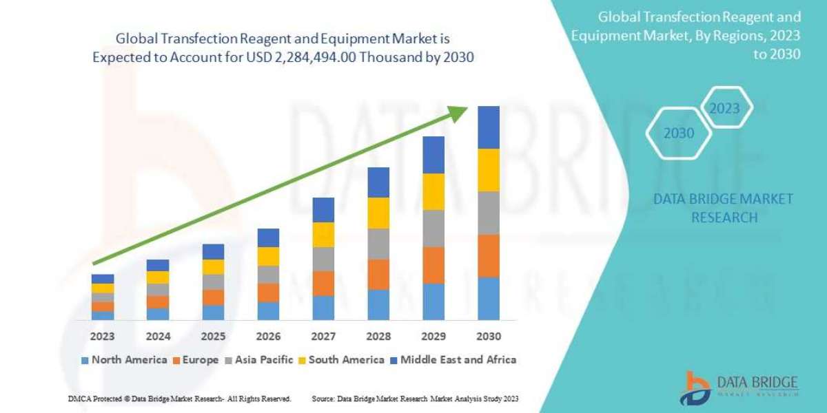Increasing Demand for Gene Therapy Boosts Transfection Reagent Market Growth