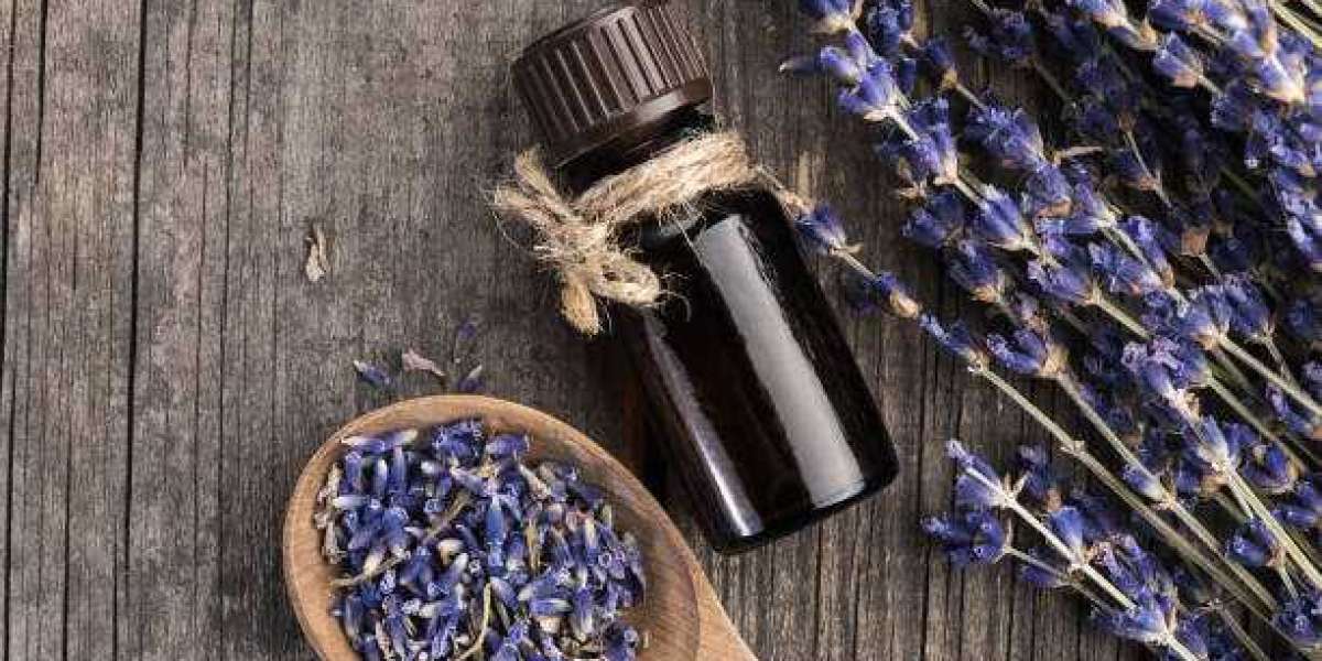 Lavender Extracts Market Outlook, Revenue Share Analysis, Market Growth Forecast 2028