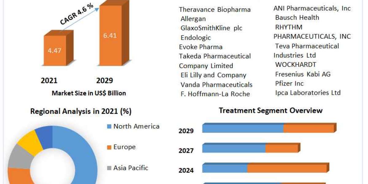 Diabetic Gastroparesis Treatment Market Trends, Size, Top Leaders, Future Scope and Outlook 2029
