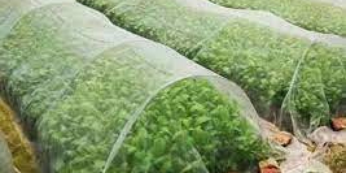 Agriculture Textile Market Trends and Regional Outlook till 2029