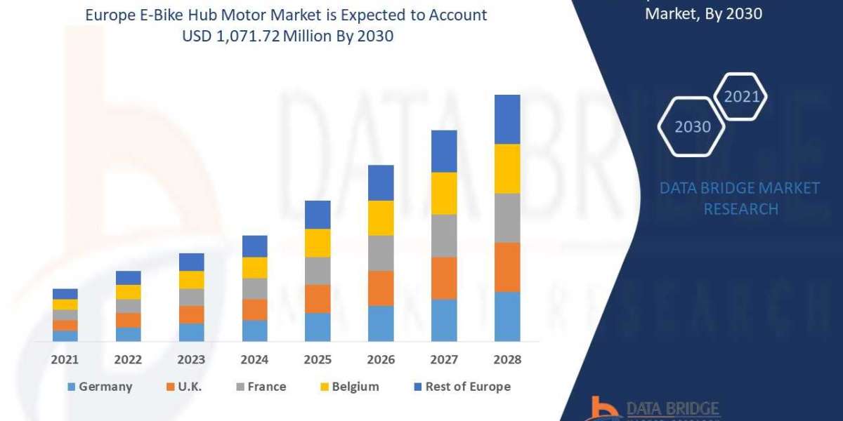 Europe Hub Motor Market Growth Market Size, Scope, Challenges ,Industry Outlook & Booming Growth ,Forecast by 2030