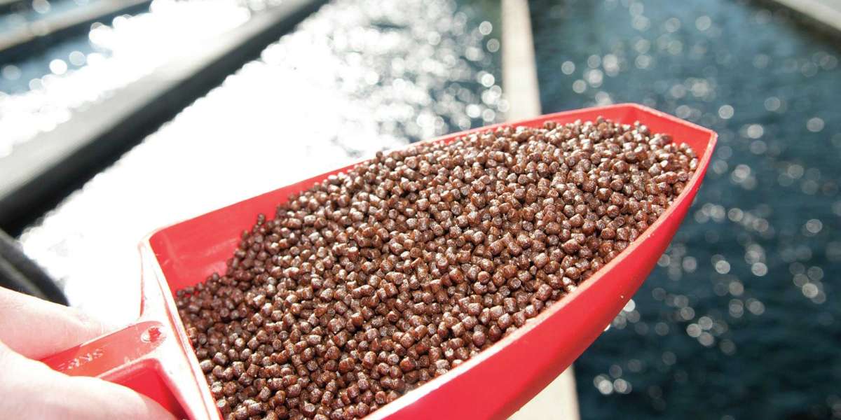 Aquafeed Antioxidants Market Competitive Research And Precise Outlook 2022 To 2029