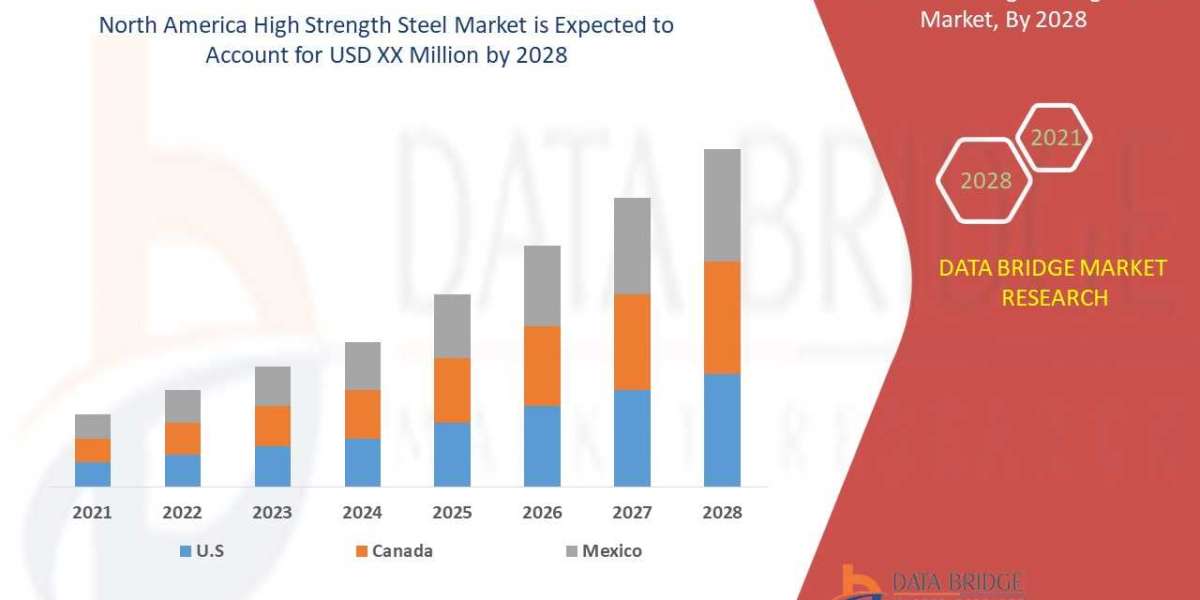 North America High Strength Steel Market share Analysis, & Forecast 2028.