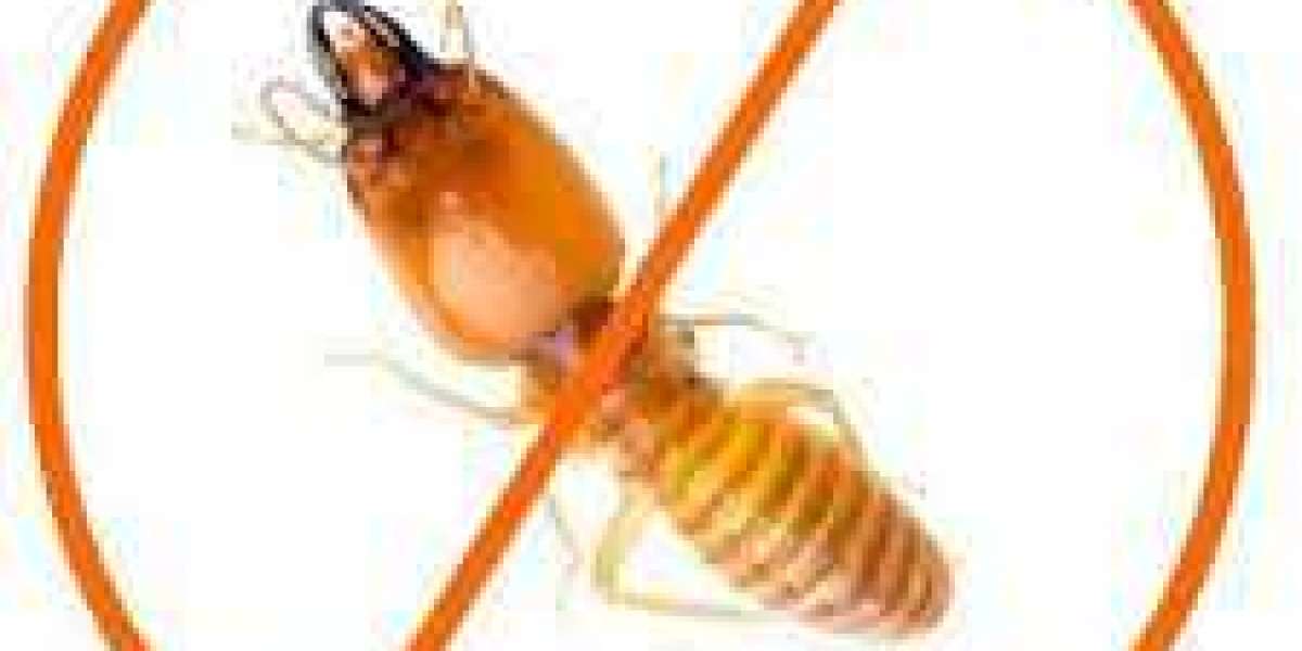 Termite control Market To Witness the Highest Growth Globally in Coming Years 2022-2029