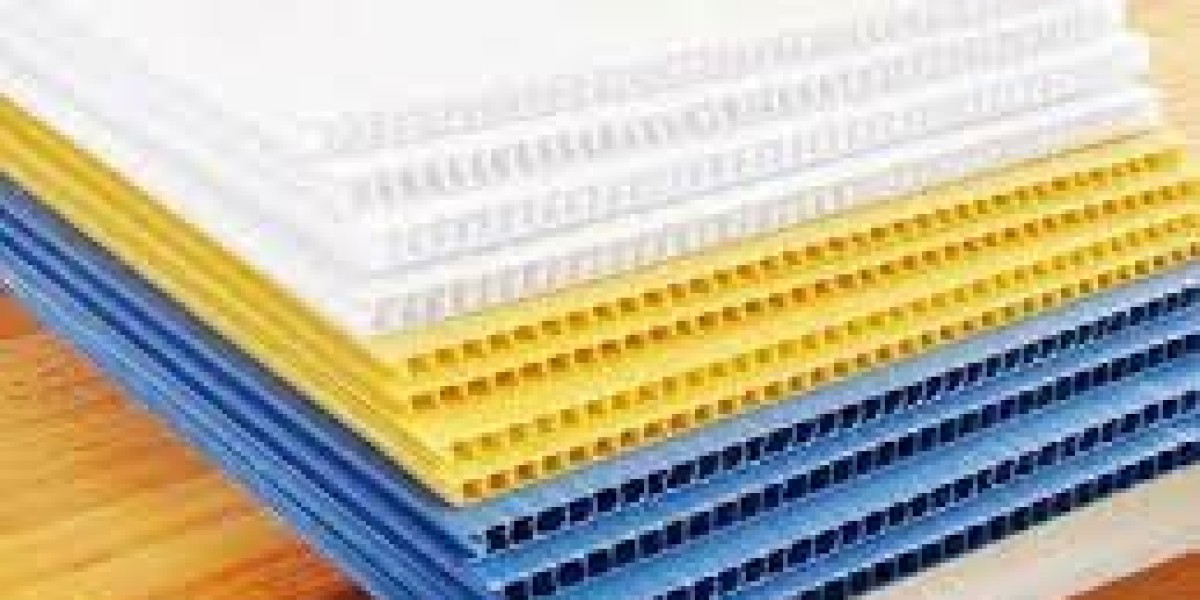 Extruded Polypropylene Market Share and Global Forecast to 2029