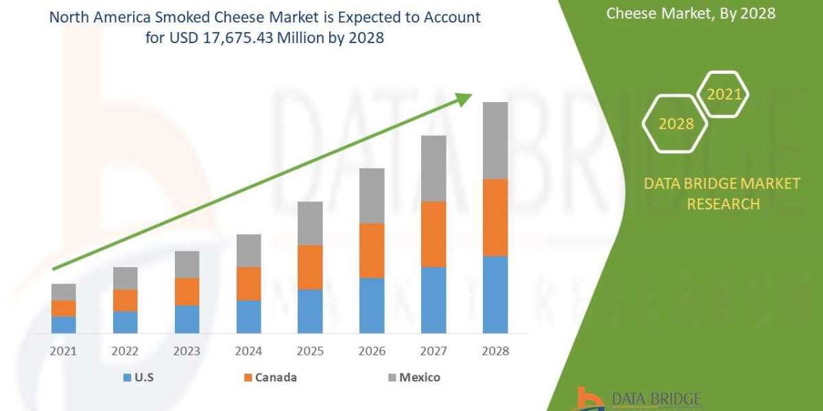 North America Smoked Cheese market share Analysis, & Forecast 2028.