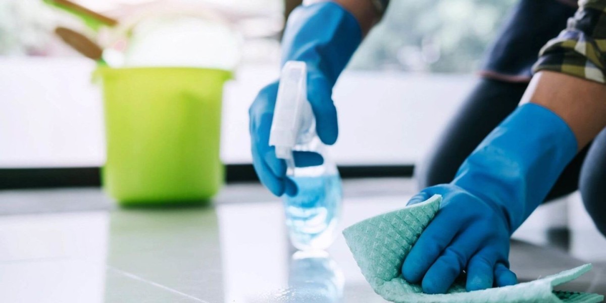 Sanitizing Agents Market Share, Trends and Forecast to 2029