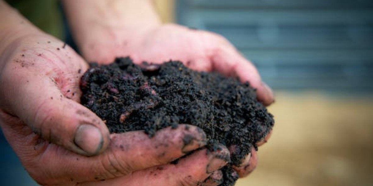 Soil Conditioners Market by Type, Competitor Analysis, Regional Portfolio by Report