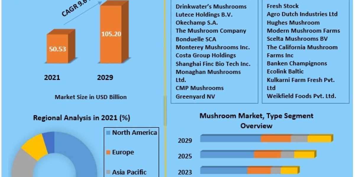 Mushroom Market Size, Segmentation, Analysis, Growth, Opportunities, Future Trends and Forecast 2029