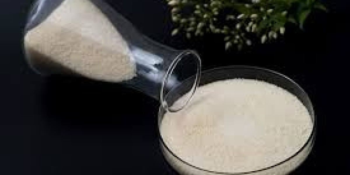 Pulp and Paper Enzyme Market  Strategies and Forecast to 2029