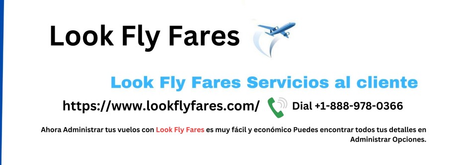 Look Fly Fares