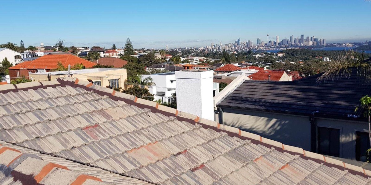 Roofer's Gutter Cleaning and Roof Painting Services in Sydney