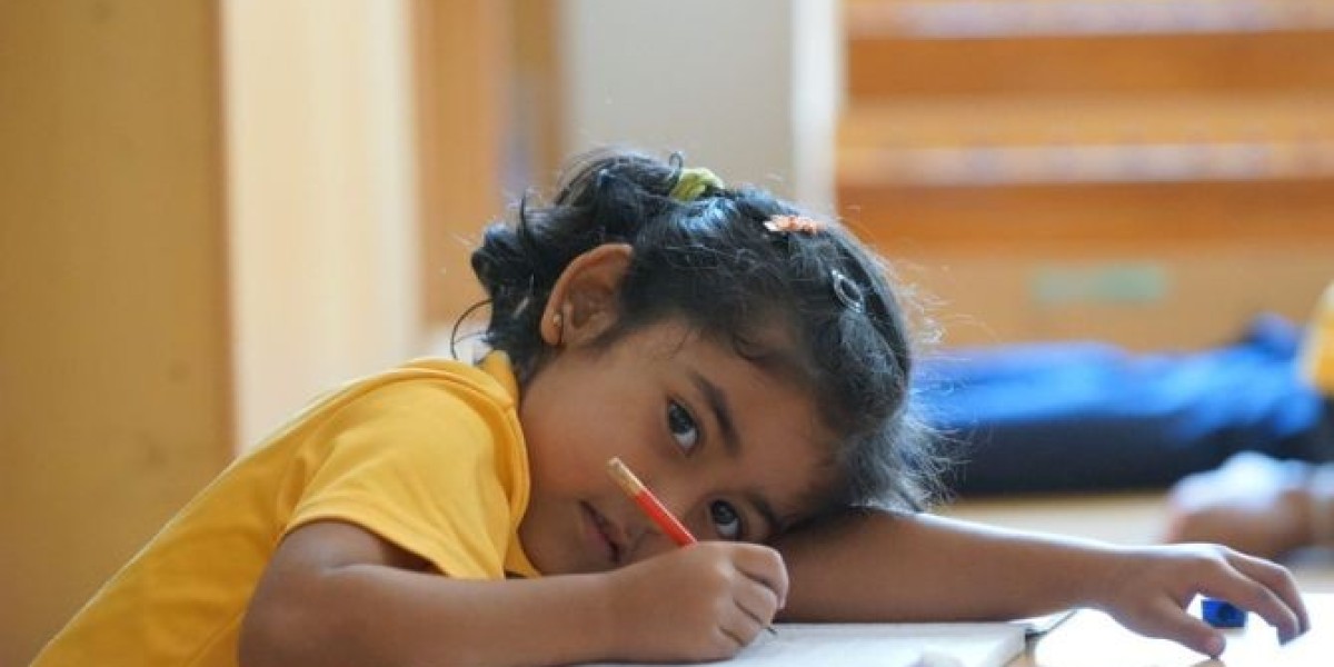Enhancing Memory and Attention Skills through Preschool Education