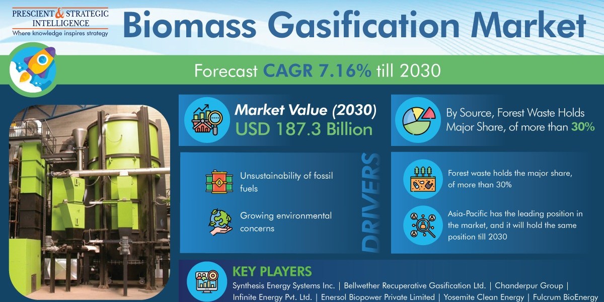 Biomass Gasification Market Analysis by Trends, Size, Share, Growth Opportunities, and Emerging Technologies
