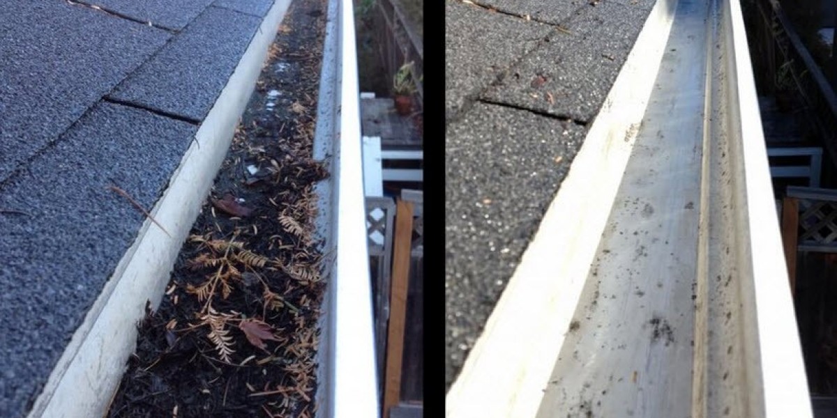 Exploring Gutter Guards in Sydney and Gutter Cleaning Services in Sutherland by Mario's Gutter Cleaning
