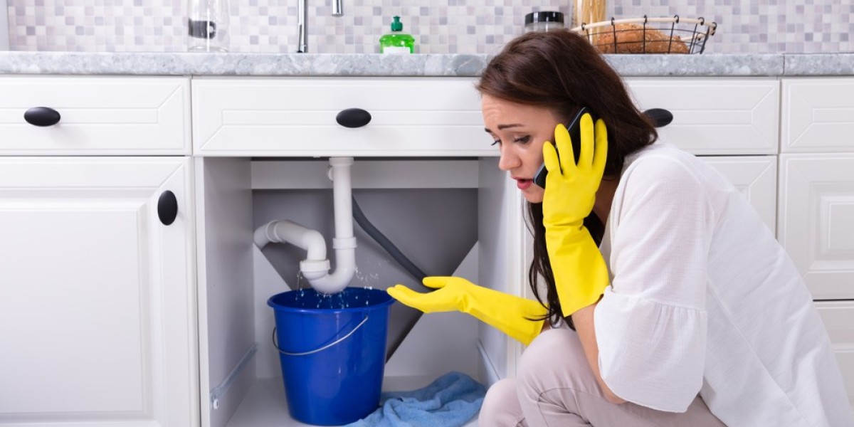Finding a Reliable Plumber: A Step-by-Step Guide