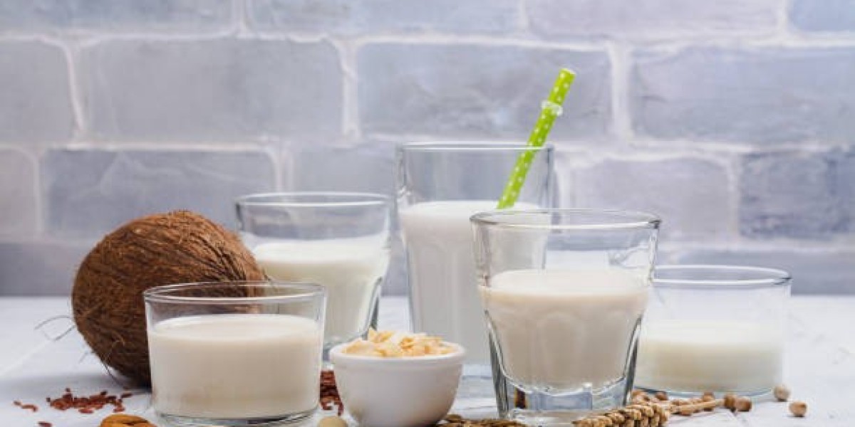 Dairy Alternatives Products Market Future Growth Size, Share, Industry Growth Key Player, Report
