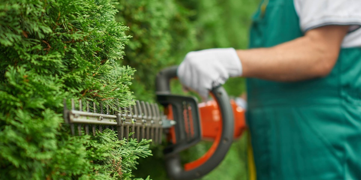 Enhancing Your Garden's Beauty: All Trees and Garden's Gardening Services and Local Tree Mulching in Sydney