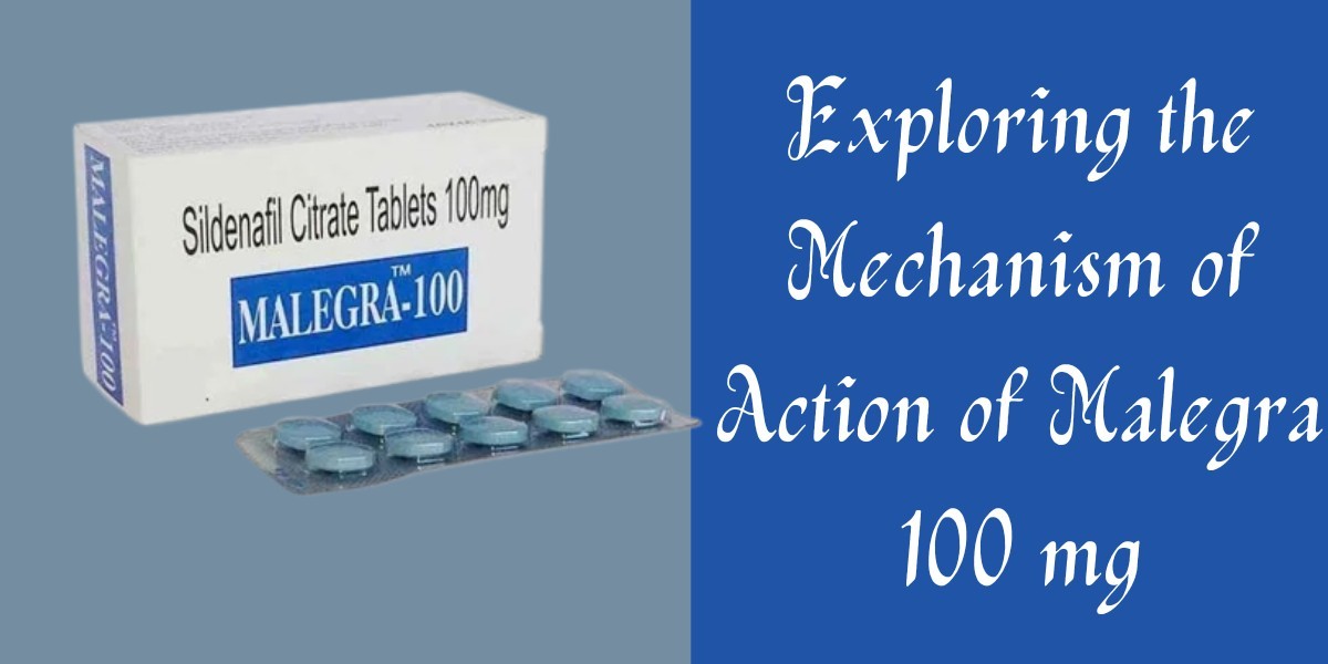 Exploring the Mechanism of Action of Malegra 100 mg