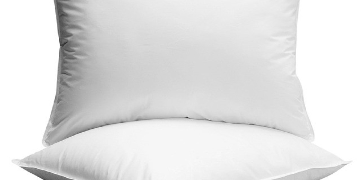 Pillow Market Insights, Key Segments, Growth Status and Forecast 2030