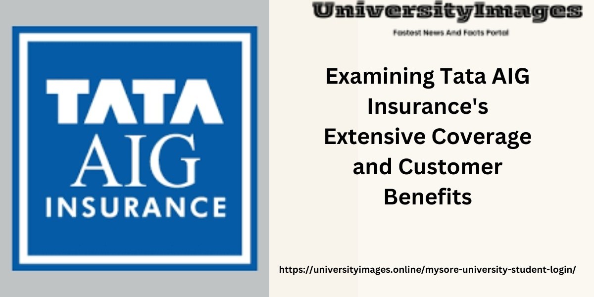 Examining Tata AIG Insurance's Extensive Coverage and Customer Benefits