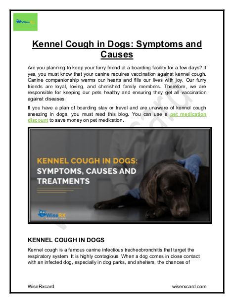 Kennel Cough in Dogs Symptoms and Causes