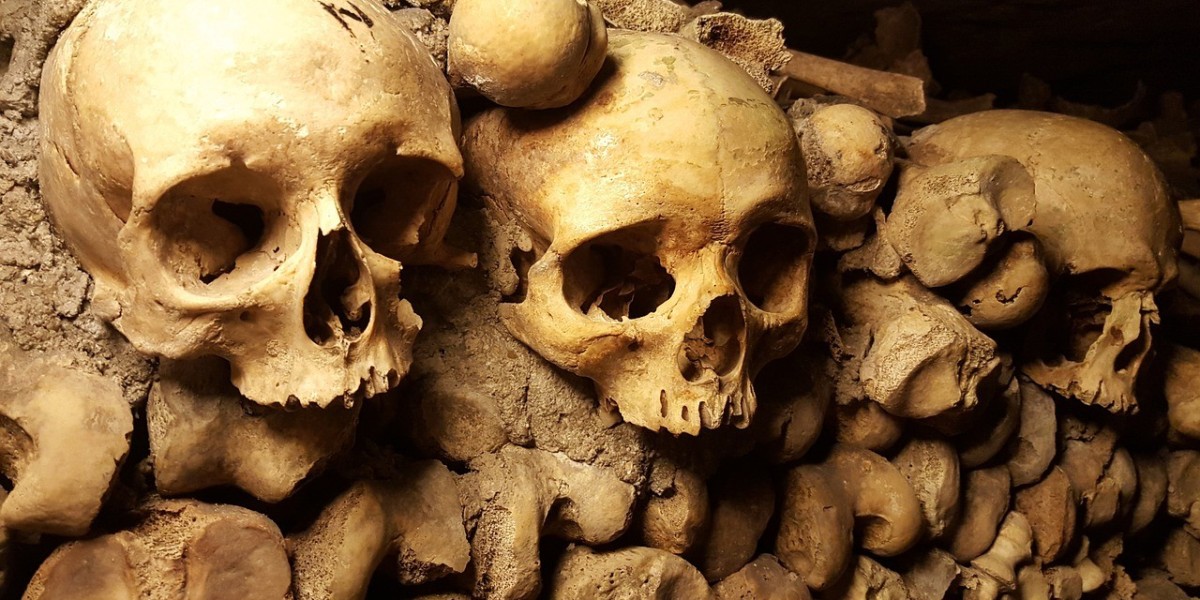 From Darkness To Light: Reflections On Life And Death In The Catacombs