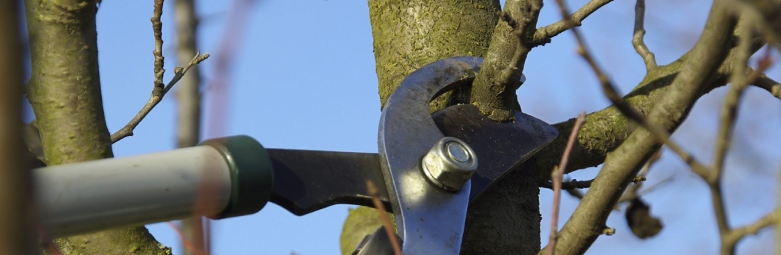 Jerrys Tree Service