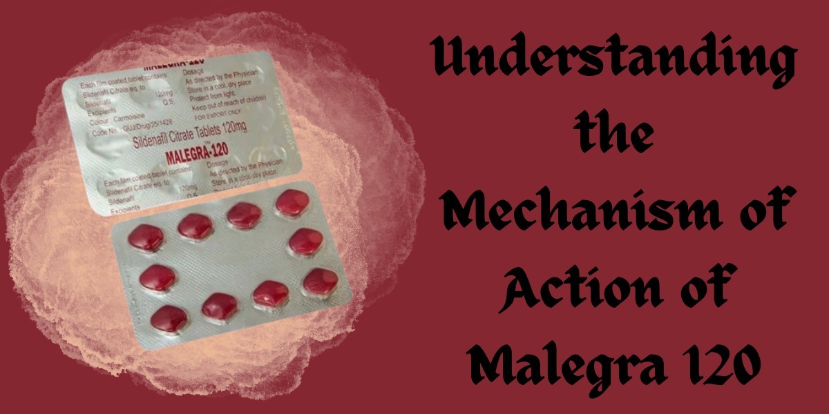 Understanding the Mechanism of Action of Malegra 120