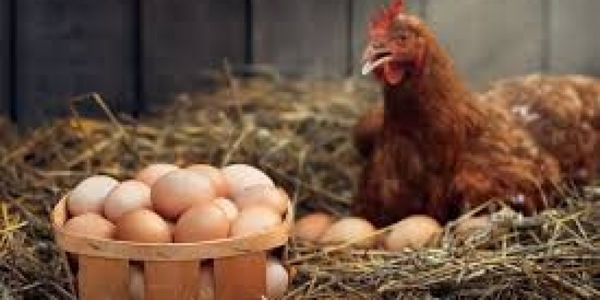 Egg Manufacturers in Namakkal | Sri Selvalakshmi Feeds & Farms