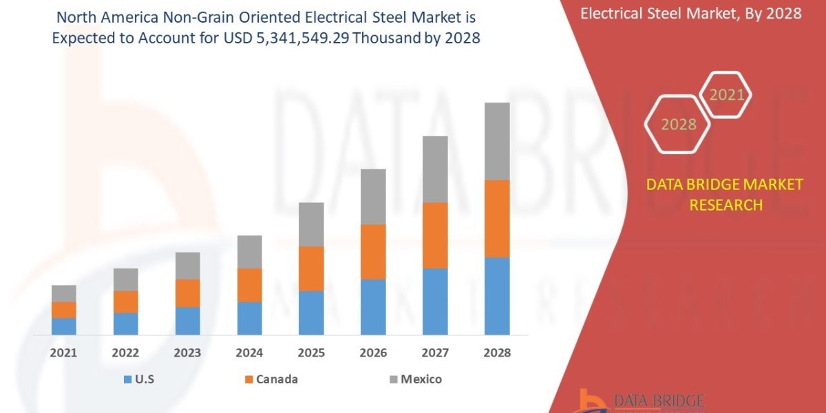 North America Non-Grain Oriented Electrical Steel Market: Industry Analysis & Size