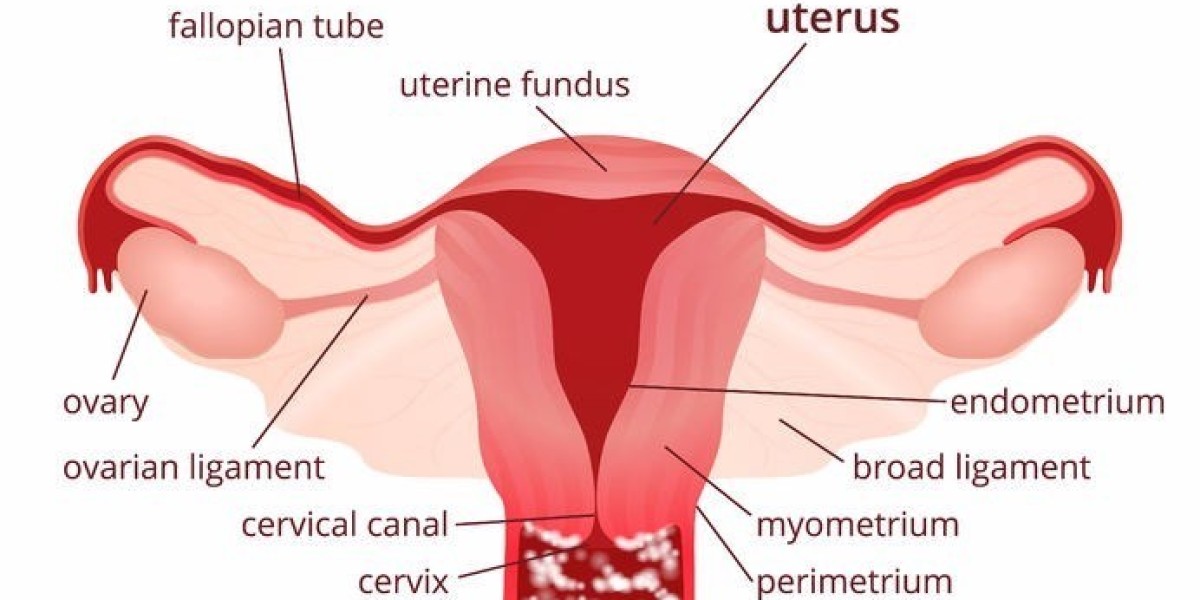 Vulvovaginal Candidiasis Market Analysis, Epidemiology, Trends And Forecast Till 2023-2033