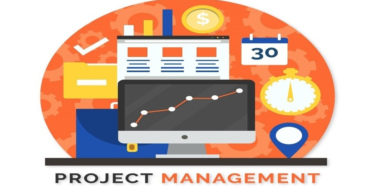 What Is a Product Management System?
