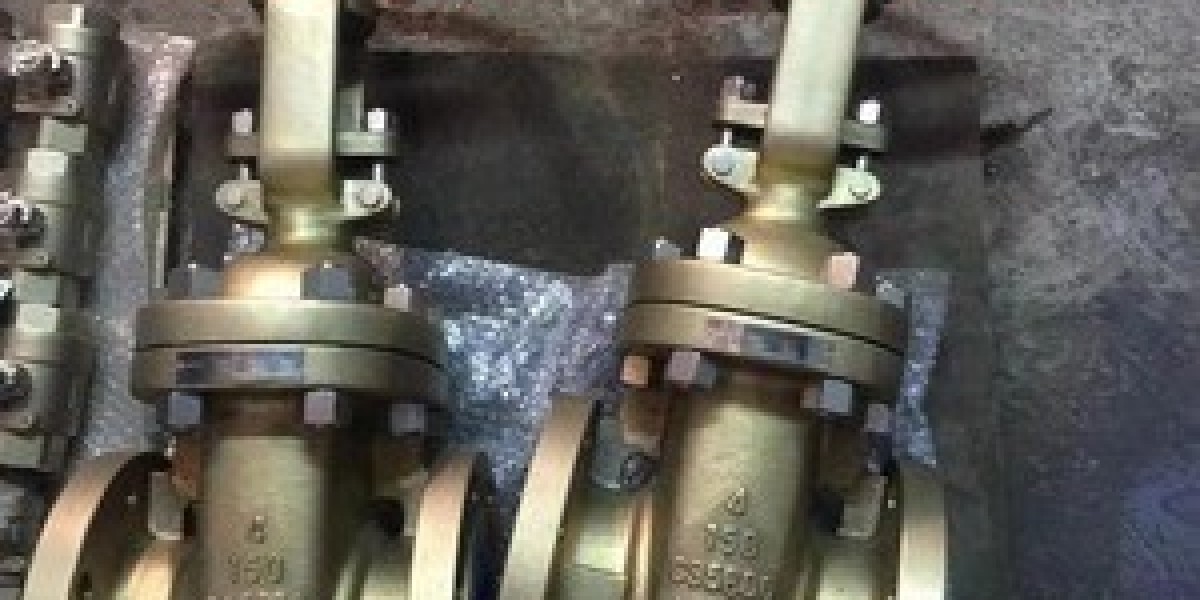 Aluminium bronze valve supplier in Iraq