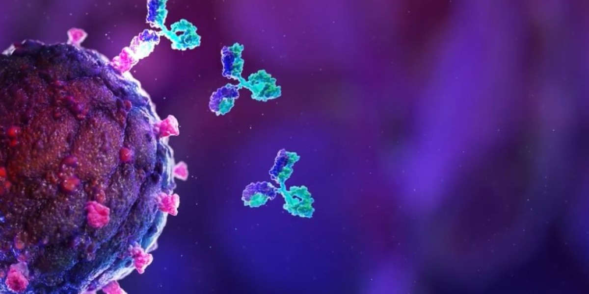 Global Custom Antibody Market Research on Industry Size to Reach approximately 0.3 Billion USD by 2030