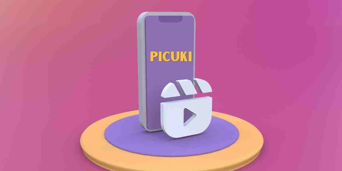 Unraveling the Evolution and Impact of Picuki: From Instagram Tool to Online Sensation