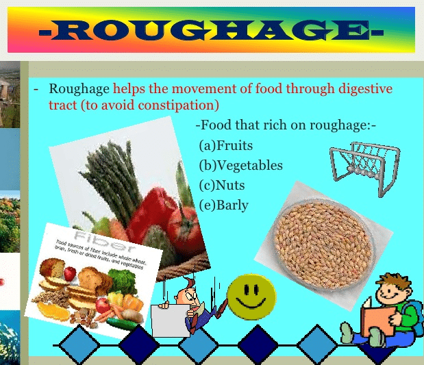 What Is Roughage? - TrueHealthyFacts