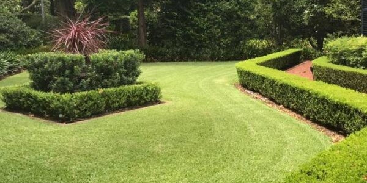 The Simple Benefits of Maintaining Your Grass ona Regular Basis