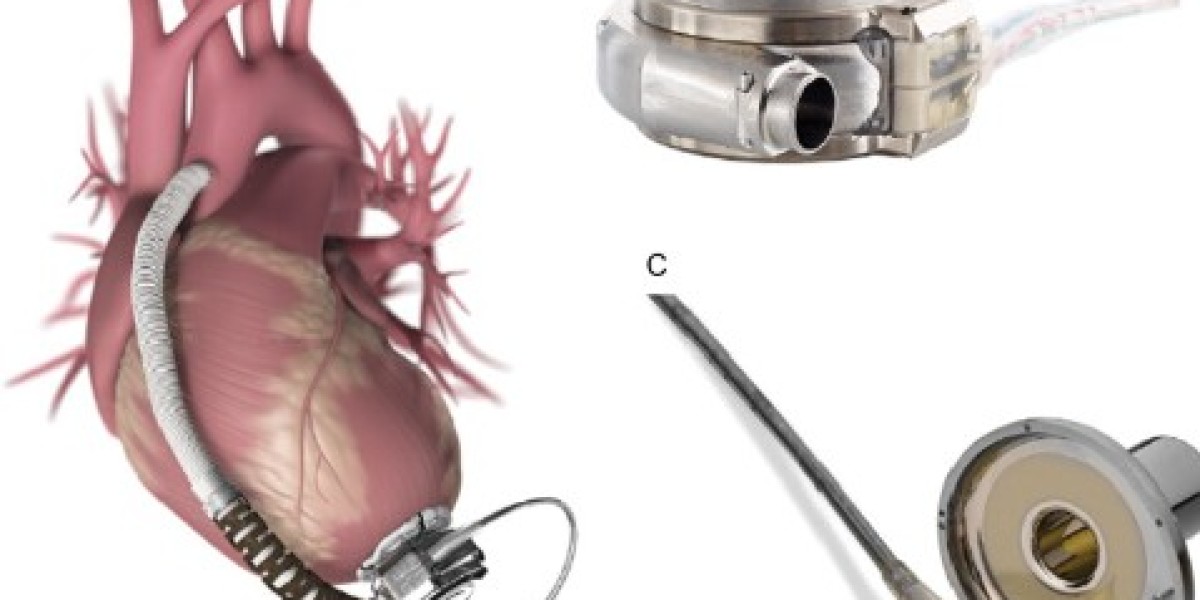 Cardiac Assist Devices Industry and Developments in 2023