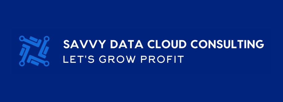Savvy Data Cloud Consulting