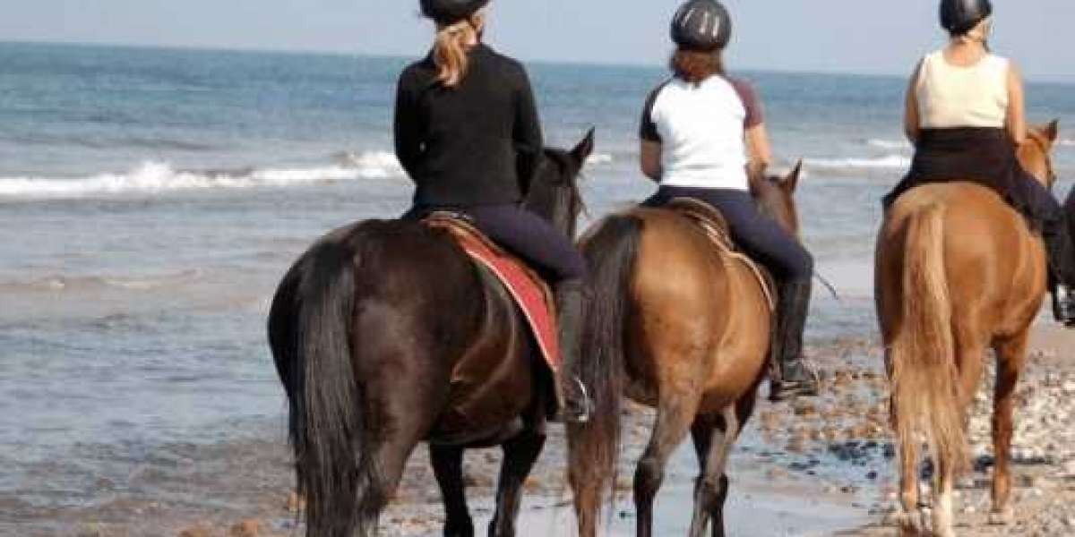 Punta Cana Horseback Riding