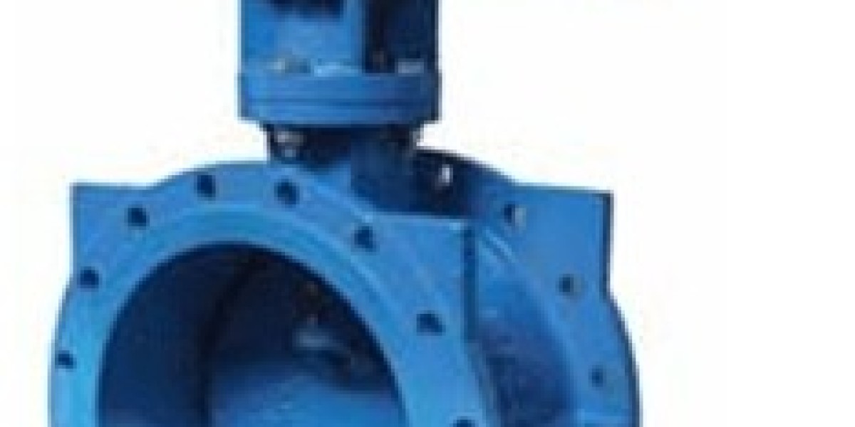 Double Offset Butterfly Valve Manufacturer in India