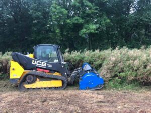 Construction Site Clearance | Tree Clearance North London | KW Tree Care