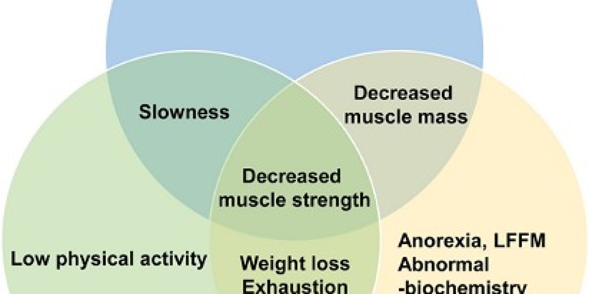 Sarcopenia Market 2023: Analysis of Epidemiology, Industry Trends, Size, Share, and Future Forecast by 2033