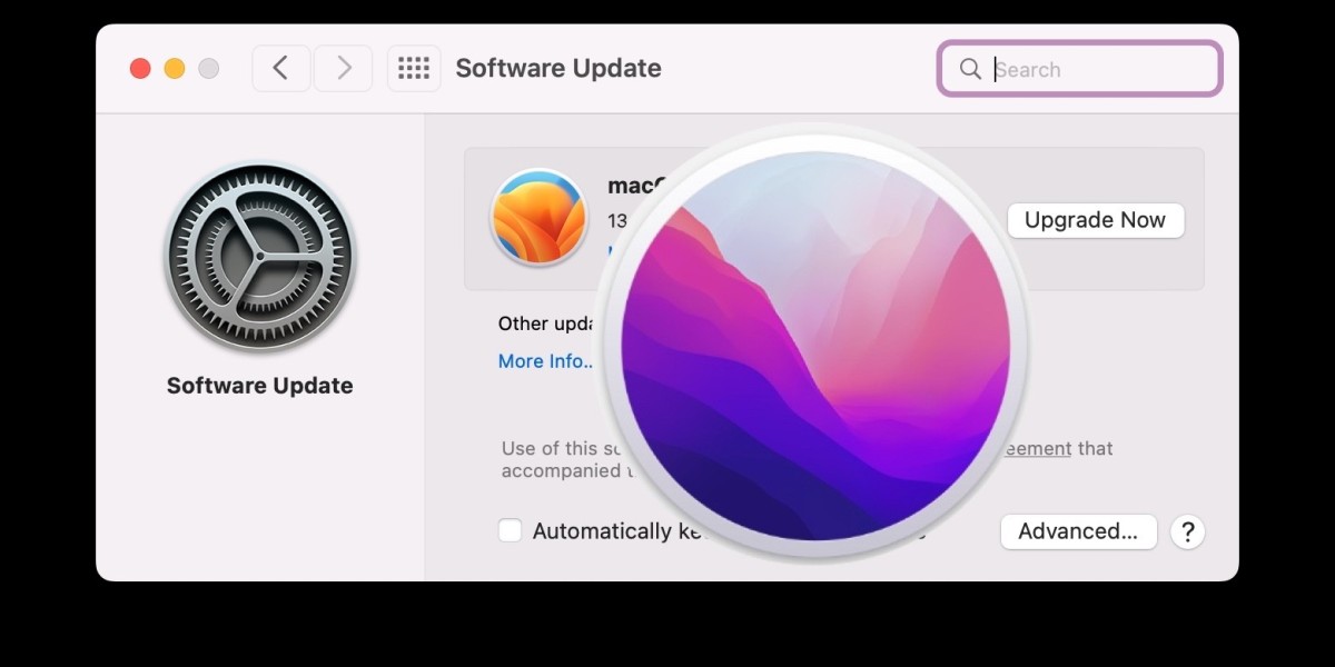 Navigating the macOS Upgrade: What You Need to Know