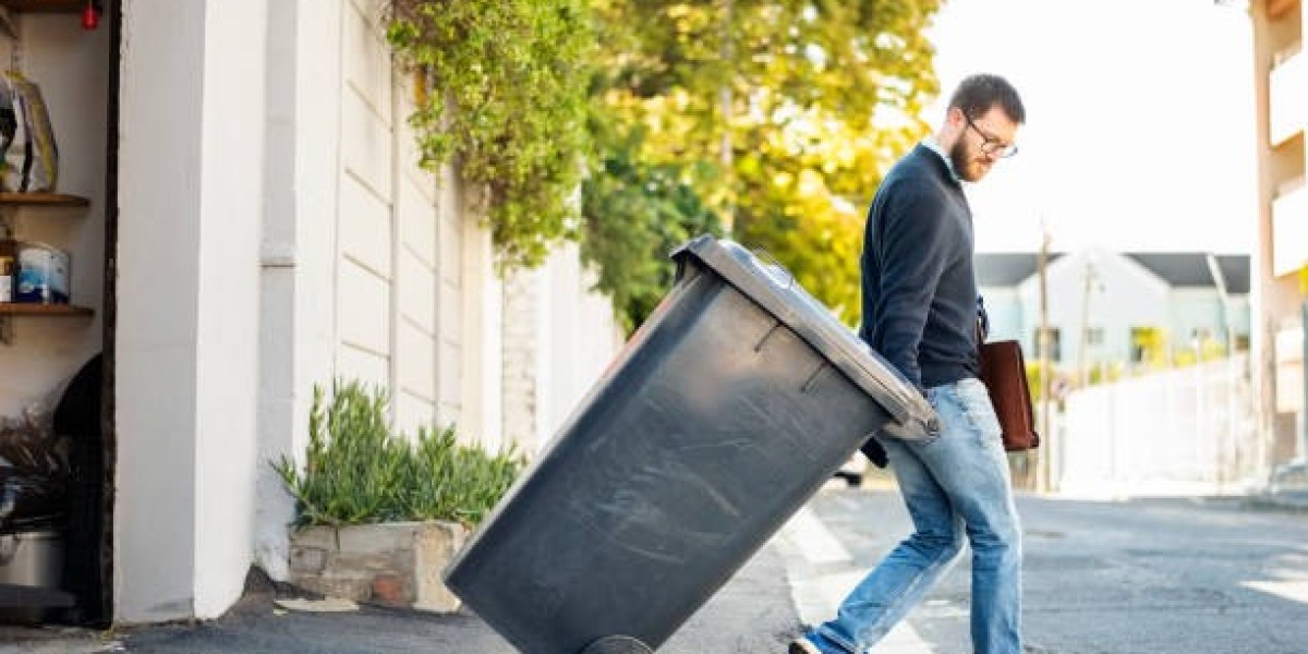 Dumpster Rental Tampa: Your Solution for Debris Woes
