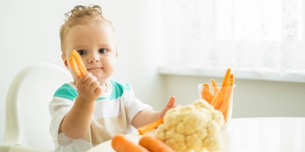 Nourishing the Next Generation: A Look at the Baby Food Market's Promising Future